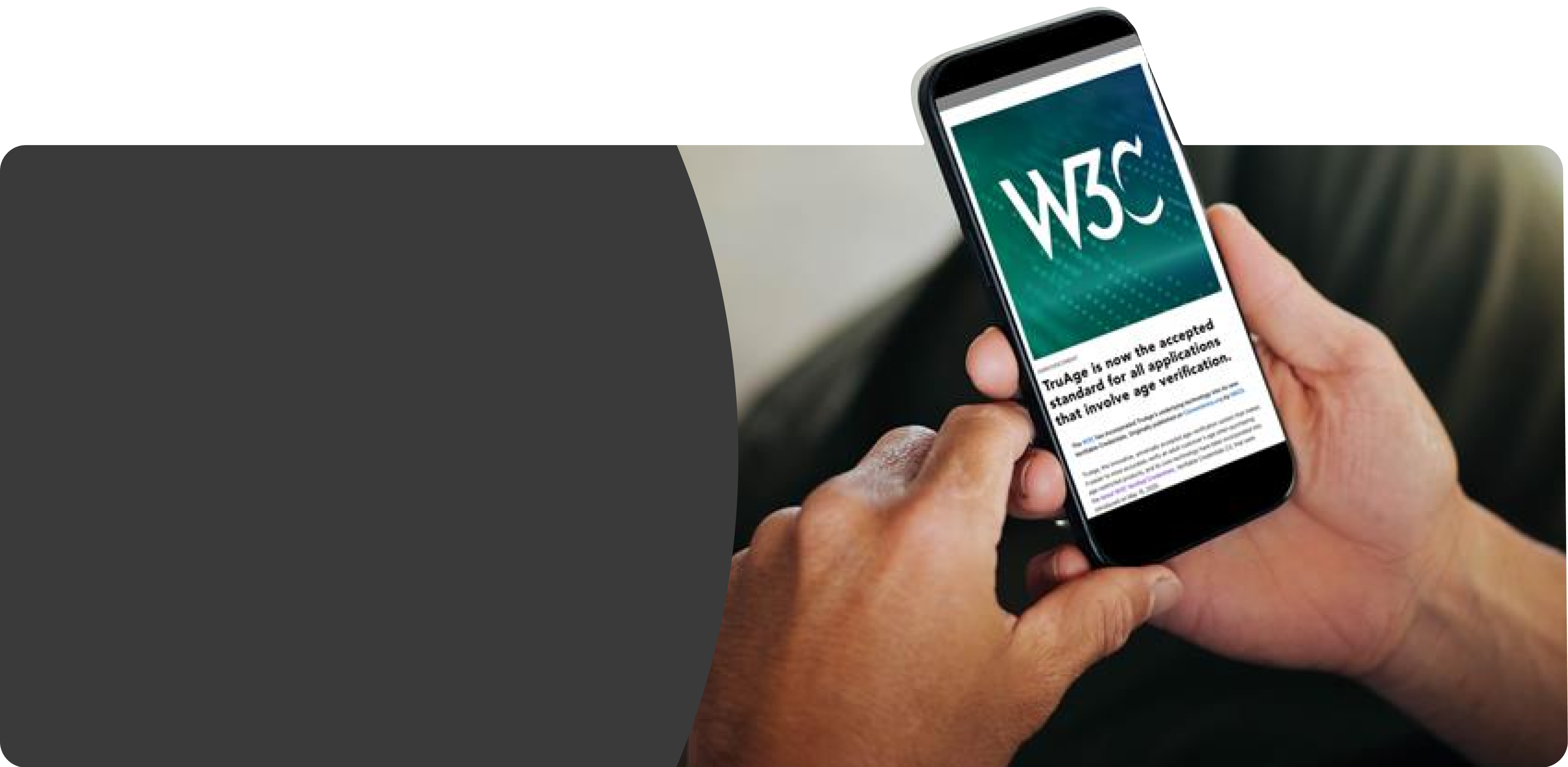 W3C LOGO