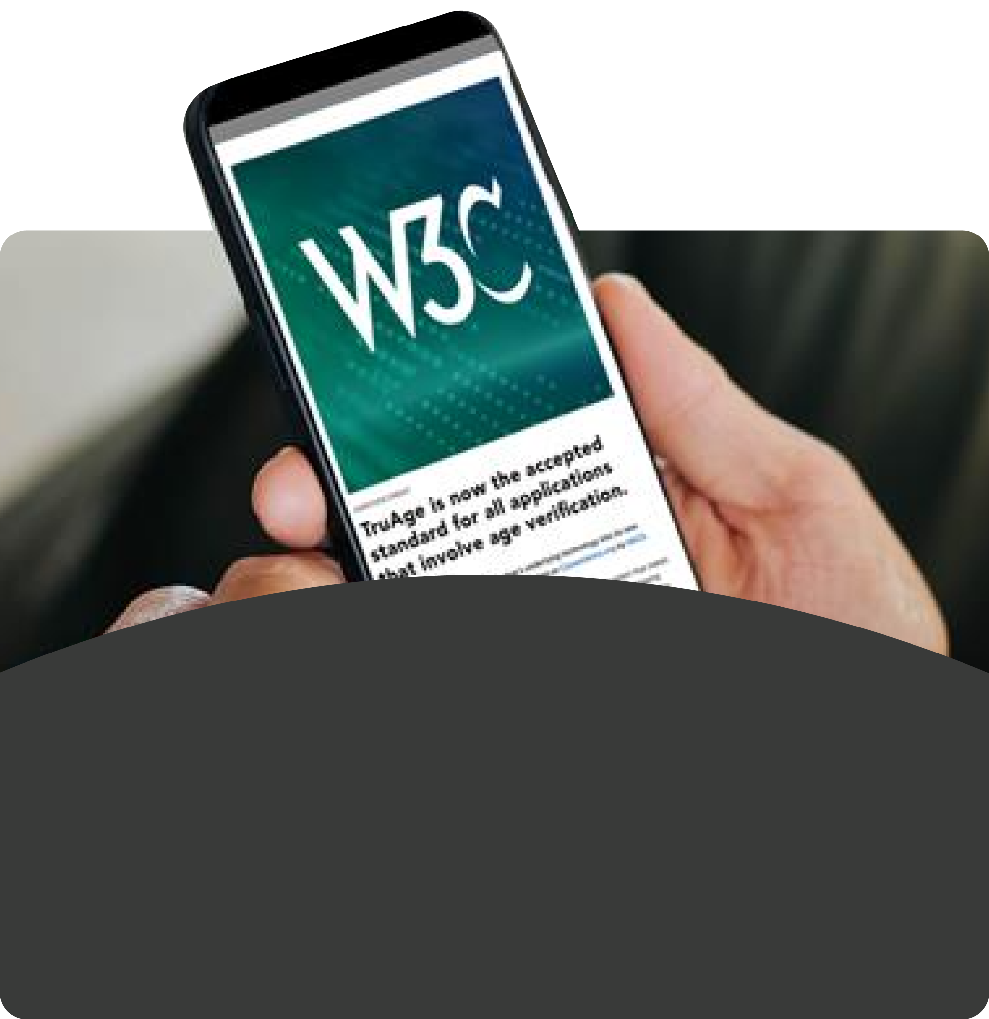 W3C LOGO